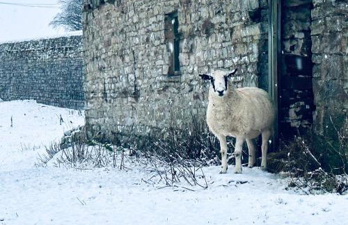 Galboly Cottage - Photo 55