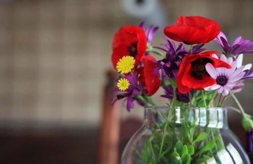 Casa Micuccio - Foto 14