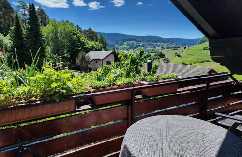 Schwarzwald-Ferienwohnungen Begert - Foto 43