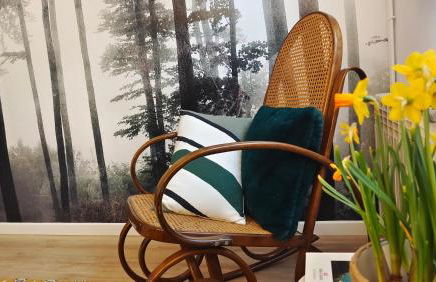 El Cau de Ribes - Foto 21