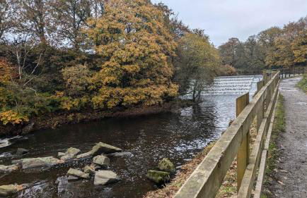 Host & Stay - Pied-a-Terre at Manor View - Foto 21