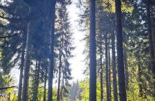 Dom Gościnny Zarembianka - Foto 59