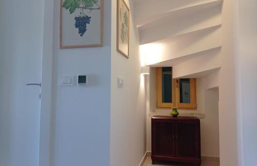 Heritage Apartments Kyra & Fox in Pitve, Hvar - Photo 29