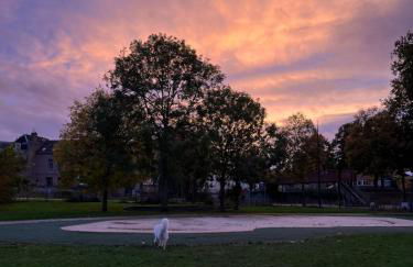 Les horizons de Jules - Foto 27