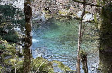 La Bergerie Marie - Photo 23