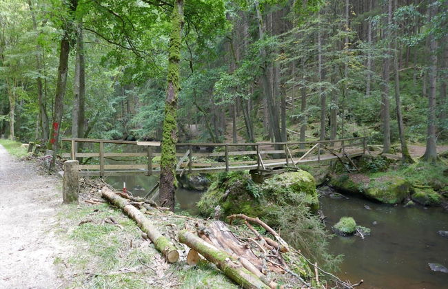 Ferienhaus in Wiek - Foto 13