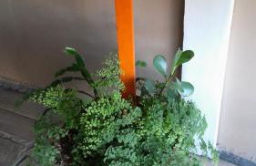 Casa Vintage - Photo 25