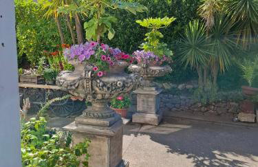 Palm Grove Apartments - Foto 75