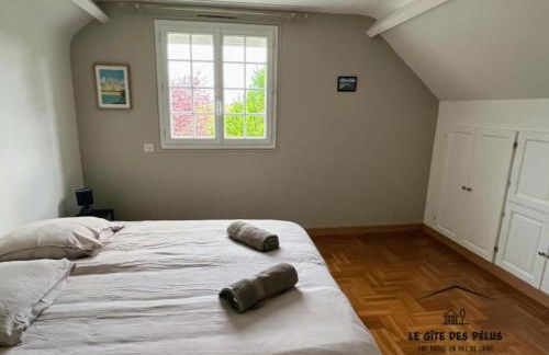 Le gîte des pélus - Photo 4