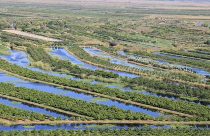 Holiday Home Paul - Foto 39