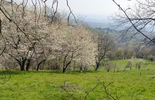 Gîte cosy, rando, vélo, au coeur de la nature, Cozy cottage, quiet nature, bike hiking - Foto 8