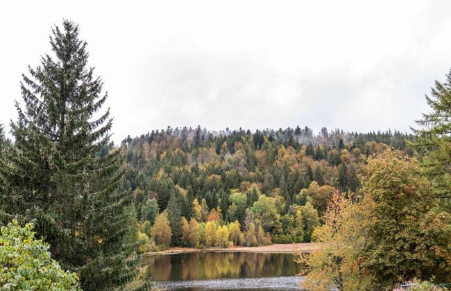 Apartment for 2 Adults & 2 Children near Ski Resort in Black Forest - Foto 33