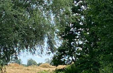 Landgut zur Mühle - Foto 42