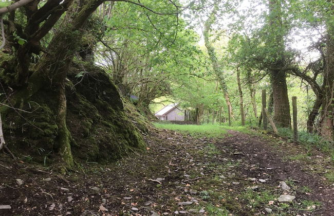 Drovers Retreat - Foto 29