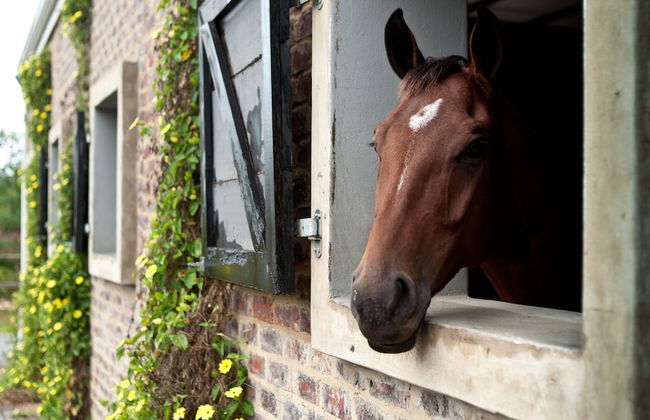 Kay and Monty Vineyard View - Photo 29