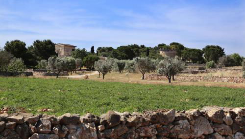 Masseria Nucci - Autentica Dimora Storica - Foto 3, Garden, Garden view