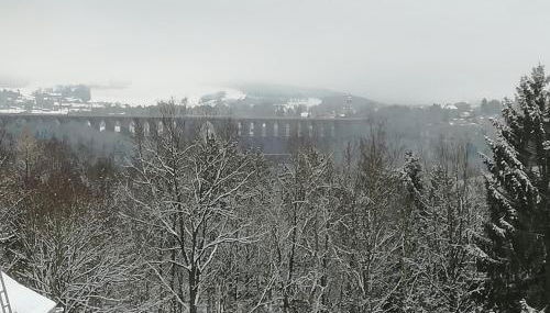 Müller's Ferienbungalow "Zur Göltzschtalbrücke" - Photo 3