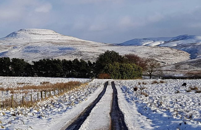 Luxury Penthouse Apartment - Beautiful Countryside - Photo 6