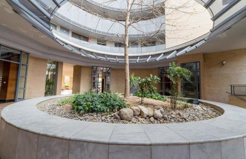 Travel Habitat - Ciudad de las Ciéncias - Foto 29