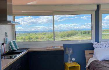 Domaine du Petit Tournebelle - Foto 64