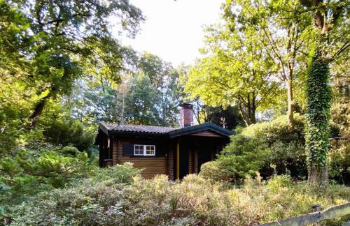 kuscheliges Waldhaus Kaminknistern - Photo 15