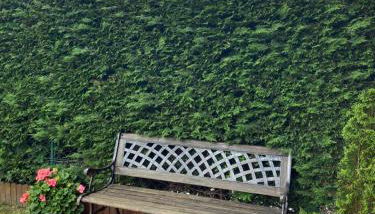 PRECIOSO CHALET JUNTO A POTES CON PISCINA-4 Hab,3 Baños - Foto 5, Garden