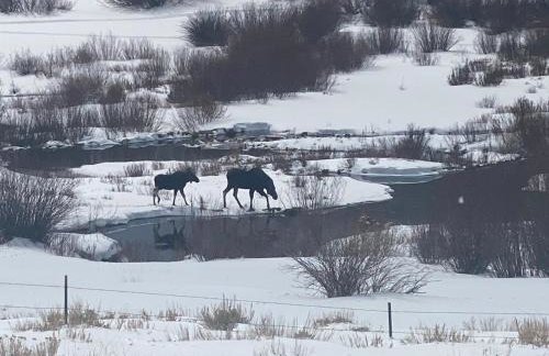 Wapiti Retreat at 22 West Cabins and Recreation - Foto 72