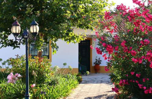 Casa Robusto - Foto 3