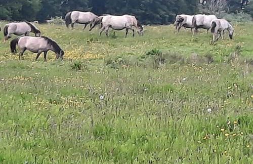 Wormshöft 16 - Foto 44