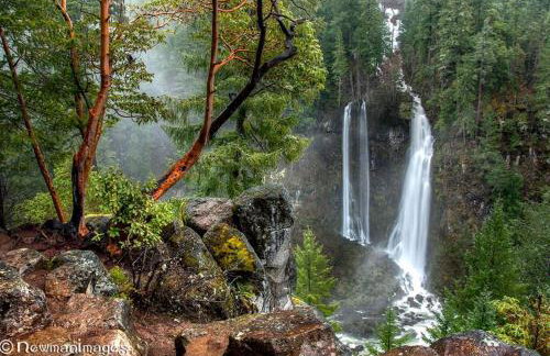 Rustic Cabin Rental in a Wild Meadow near Crater Lake National Park, Oregon - Photo 15