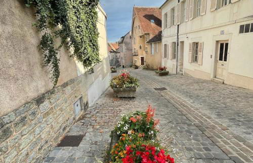 Le Pigeonnier centre historique Auxerre - Foto 50