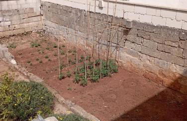 Lisa Dimora Salentina - Foto 29