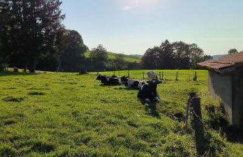 Ferienwohnung Allgäuerle 1604 Ski in Ski out an der Skipiste mit Hallenbad Sauna - Photo 39