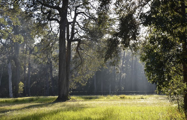 Worrowing Jervis Bay - Photo 66