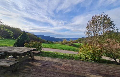 Gîte confortable à Basse-sur-le-Rupt - 3 chambres, terrasse, proche La Bresse - FR-1-589-42 - Foto 18