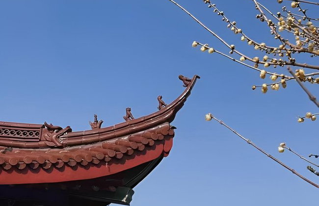 Excursión de un día a la Pequeña Gran Muralla de Yixing desde Shanghái - Foto 7