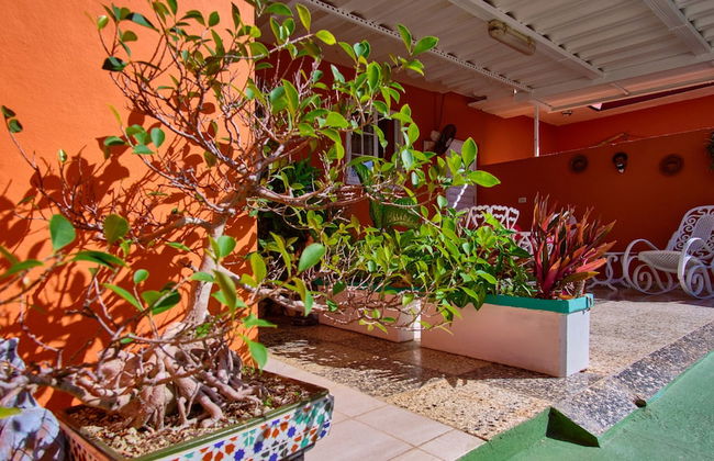 Villa in Cárdenas with terrace - Photo 55