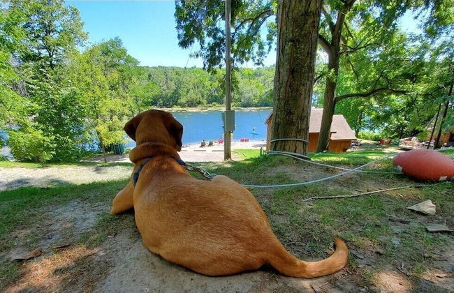 Wildwood Cottages - Foto 49