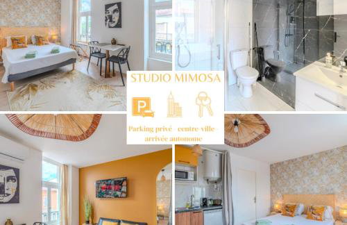 Mimosa Roanne centre-ville - Parking & Clim - Foto 1