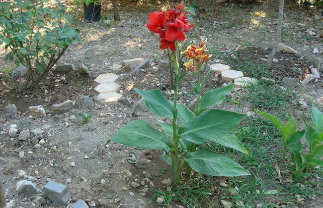 Villa Galini - Photo 16