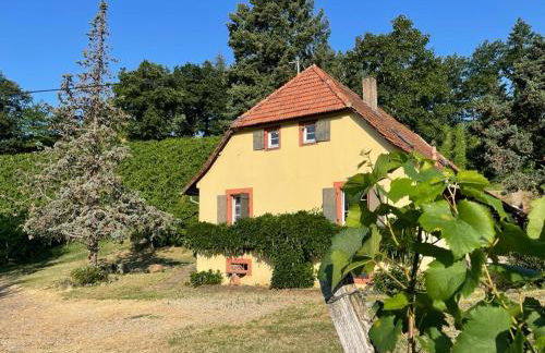 Rebhaus Durbach - Foto 4