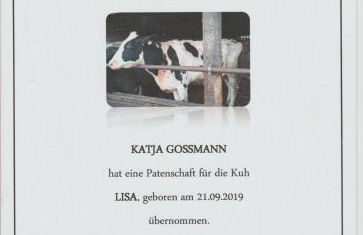 Altes Waschhaus - Foto 15