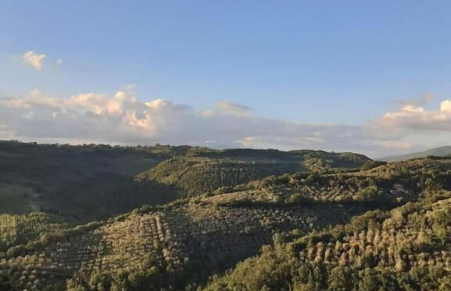 Atollo della Sabina - Foto 24