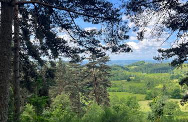 La Forêt suspendue - Gîte nature sur 9ha - option Spa avec vue panoramique - Foto 28