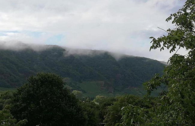 Garden Retreat With Pond View - Photo 35