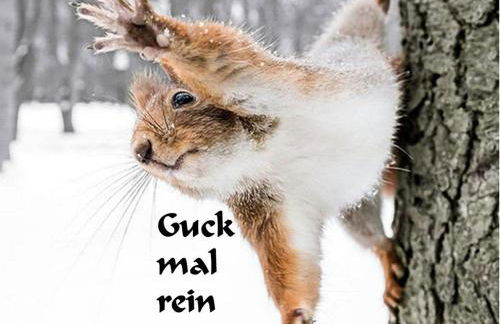 Ferienwohnung Kuckuck auf dem Sommerberg incl Schwarzwald Plus-Karte - 2 Zimmer 50qm - Foto 13