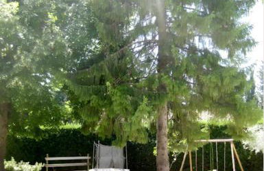 Gites Mas La Mounine - Foto 5