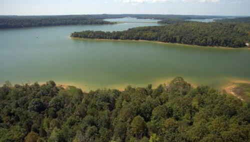 serenity cabins - Foto 3