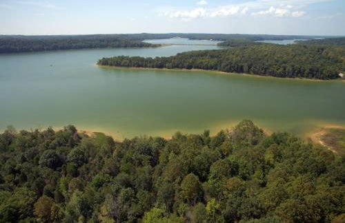 serenity cabins forest view - Photo 1