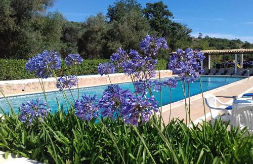 Casa Pura Vida - fantastic sea view - Foto 10